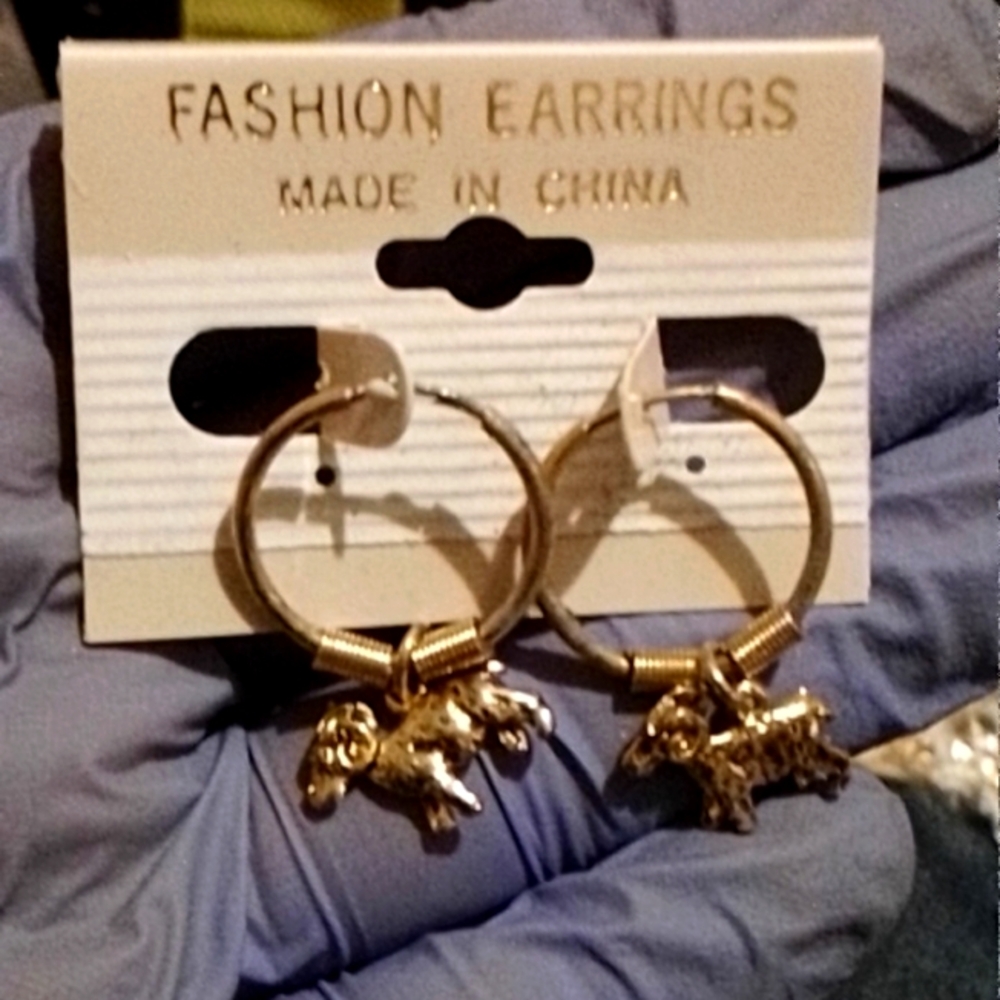 Earrings